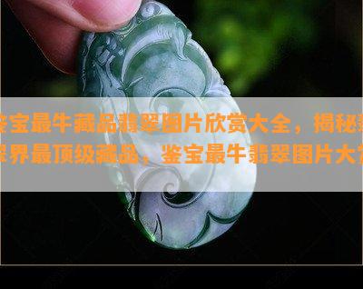 鉴宝最牛藏品翡翠图片欣赏大全，揭秘翡翠界最顶级藏品，鉴宝最牛翡翠图片大赏！