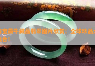 鉴宝最牛藏品翡翠图片欣赏：全球珍品大集合！