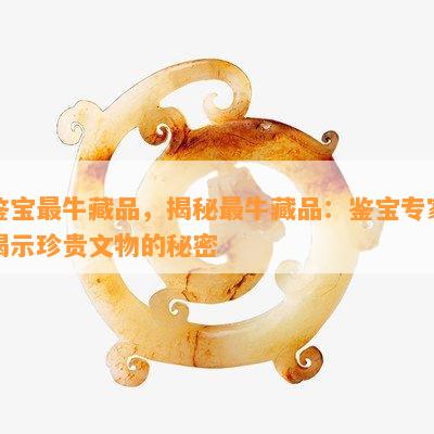 鉴宝最牛藏品，揭秘最牛藏品：鉴宝专家揭示珍贵文物的秘密