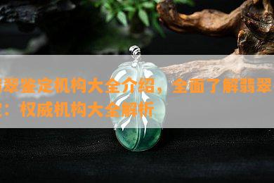 翡翠鉴定机构大全介绍，全面了解翡翠鉴定：权威机构大全解析