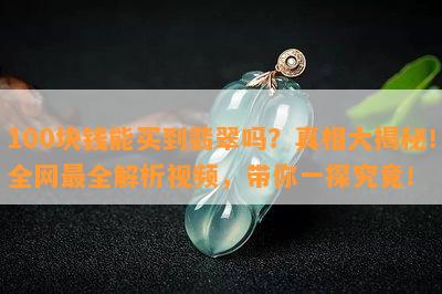 100块钱能买到翡翠吗？真相大揭秘！全网最全解析视频，带你一探究竟！