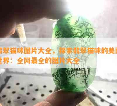 翡翠猫咪图片大全，探索翡翠猫咪的美丽世界：全网最全的图片大全