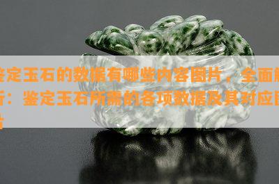 鉴定玉石的数据有哪些内容图片，全面解析：鉴定玉石所需的各项数据及其对应图片