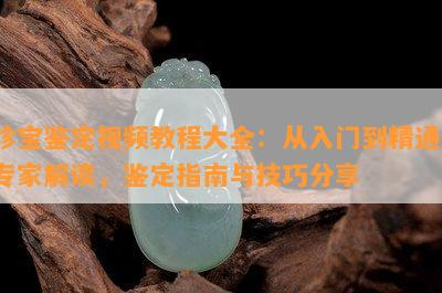 珍宝鉴定视频教程大全：从入门到精通，专家解读，鉴定指南与技巧分享