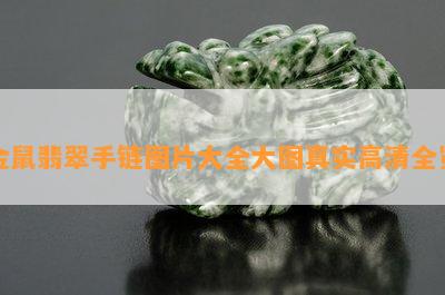 金鼠翡翠手链图片大全大图真实高清全览