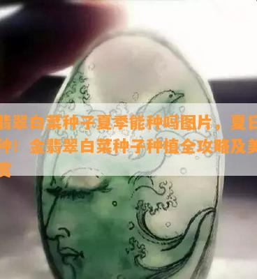 金翡翠白菜种子夏季能种吗图片，夏日也能种！金翡翠白菜种子种植全攻略及美图欣赏