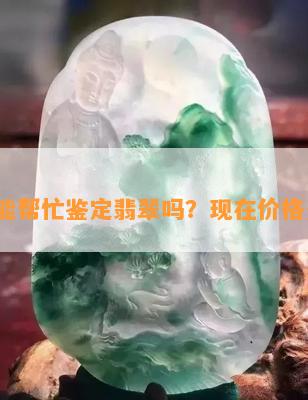 金店能帮忙鉴定翡翠吗？现在价格多少？