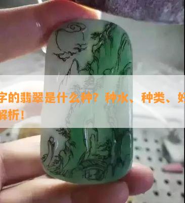 透字的翡翠是什么种？种水、种类、好坏全解析！