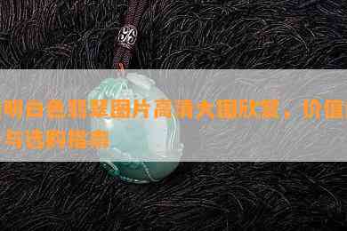 透明白色翡翠图片高清大图欣赏，价值解析与选购指南