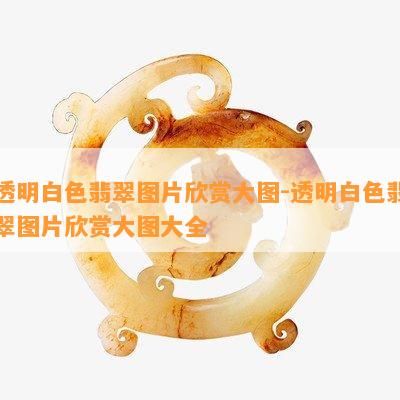 透明白色翡翠图片欣赏大图-透明白色翡翠图片欣赏大图大全