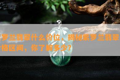 紫罗兰翡翠什么价位，揭秘紫罗兰翡翠的价格区间，你了解多少？