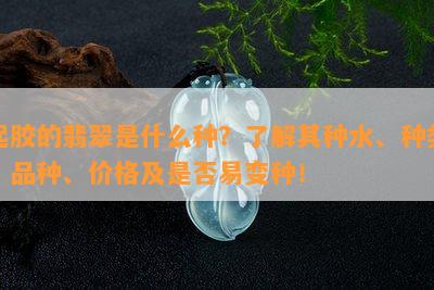 起胶的翡翠是什么种？了解其种水、种类、品种、价格及是否易变种！