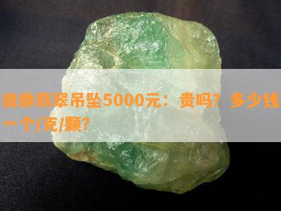 貔貅翡翠吊坠5000元：贵吗？多少钱一个/克/颗？