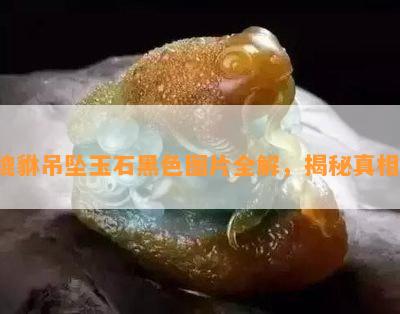 貔貅吊坠玉石黑色图片全解，揭秘真相！