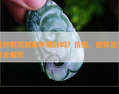 豆种飘花翡翠手镯好吗？价格、保养及特点全解析