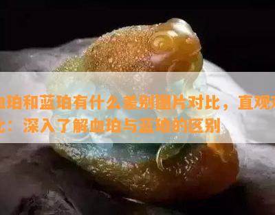 血珀和蓝珀有什么差别图片对比，直观对比：深入了解血珀与蓝珀的区别