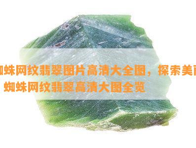 蜘蛛网纹翡翠图片高清大全图，探索美丽：蜘蛛网纹翡翠高清大图全览