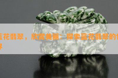 蓝花翡翠，欣赏美丽：探索蓝花翡翠的世界