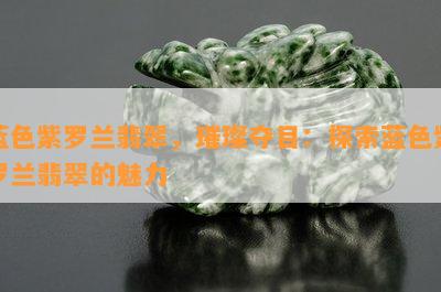 蓝色紫罗兰翡翠，璀璨夺目：探索蓝色紫罗兰翡翠的魅力