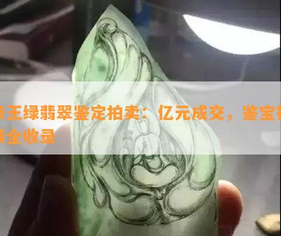 帝王绿翡翠鉴定拍卖：亿元成交，鉴宝视频全收录