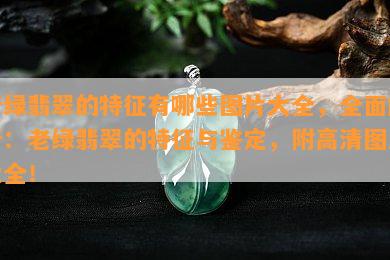 老绿翡翠的特征有哪些图片大全，全面解析：老绿翡翠的特征与鉴定，附高清图片大全！