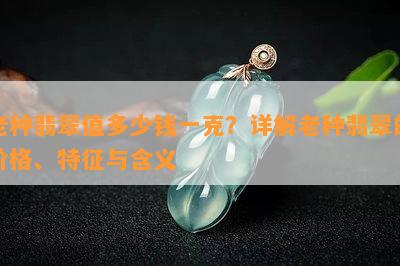 老种翡翠值多少钱一克？详解老种翡翠的价格、特征与含义