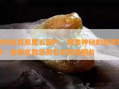 老树皮翡翠原石图片，探索神秘的翡翠世界：老树皮翡翠原石的惊艳照片