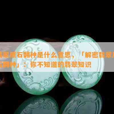 翡翠原石翻种是什么意思，「解密翡翠原石翻种」：你不知道的翡翠知识