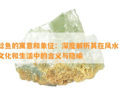 鲶鱼的寓意和象征：深度解析其在风水、文化和生活中的含义与隐喻