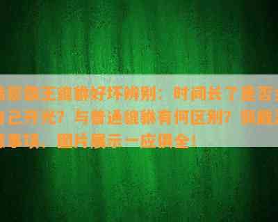 翡翠霸王貔貅好坏辨别：时间长了是否会自己开光？与普通貔貅有何区别？佩戴注意事项、图片展示一应俱全！