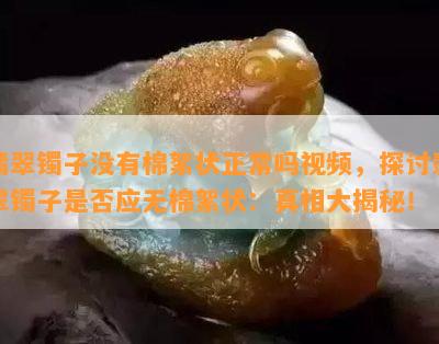 翡翠镯子没有棉絮状正常吗视频，探讨翡翠镯子是否应无棉絮状：真相大揭秘！