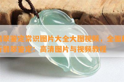 翡翠鉴定常识图片大全大图视频，全面解析翡翠鉴定：高清图片与视频教程