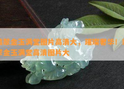 翡翠金玉满堂图片高清大，璀璨奢华！翡翠金玉满堂高清图片大