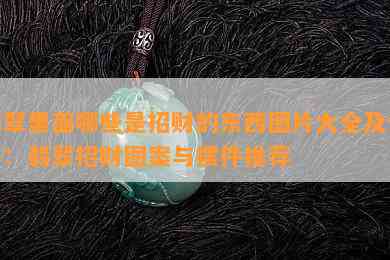 翡翠里面哪些是招财的东西图片大全及价格：翡翠招财图案与摆件推荐