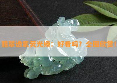 翡翠透紫荧光绿：好看吗？全图欣赏！