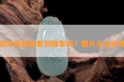 翡翠起胶能看到棉絮吗？图片大全欣赏