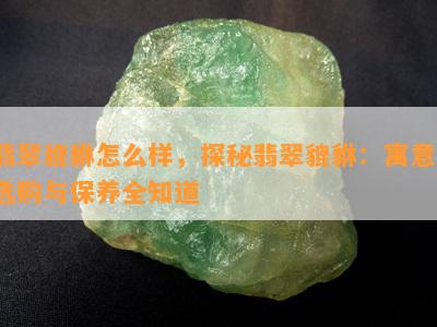 翡翠貔貅怎么样，探秘翡翠貔貅：寓意、选购与保养全知道