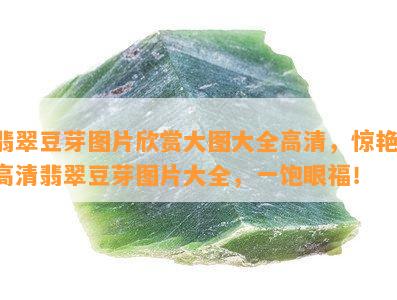 翡翠豆芽图片欣赏大图大全高清，惊艳！高清翡翠豆芽图片大全，一饱眼福！