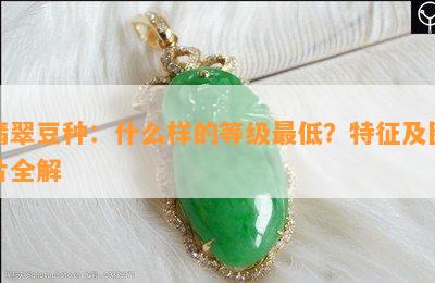 翡翠豆种：什么样的等级更低？特征及图片全解