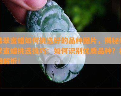 翡翠蜜蜡如何挑选好的品种图片，揭秘翡翠蜜蜡挑选技巧：如何识别优质品种？看图解析！