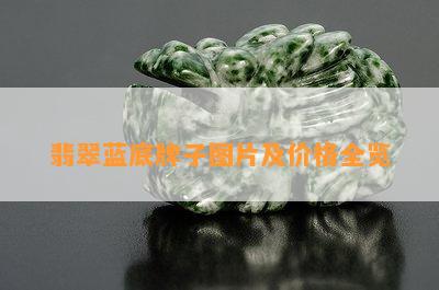 翡翠蓝底牌子图片及价格全览