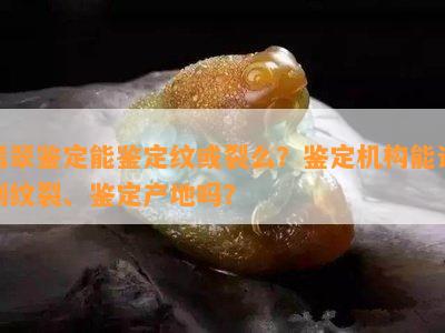 翡翠鉴定能鉴定纹或裂么？鉴定机构能识别纹裂、鉴定产地吗？