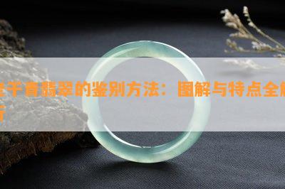 老干青翡翠的鉴别方法：图解与特点全解析