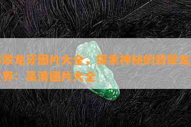 翡翠龙牙图片大全，探索神秘的翡翠龙牙世界：高清图片大全