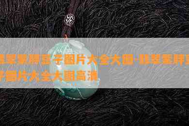 翡翠紫胖豆子图片大全大图-翡翠紫胖豆子图片大全大图高清