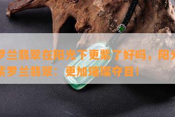 紫罗兰翡翠在阳光下更紫了好吗，阳光下的紫罗兰翡翠：更加璀璨夺目！