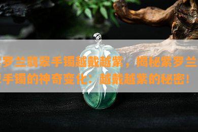 紫罗兰翡翠手镯越戴越紫，揭秘紫罗兰翡翠手镯的神奇变化：越戴越紫的秘密！