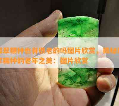 翡翠糯种也有很老的吗图片欣赏，揭秘翡翠糯种的老年之美：图片欣赏