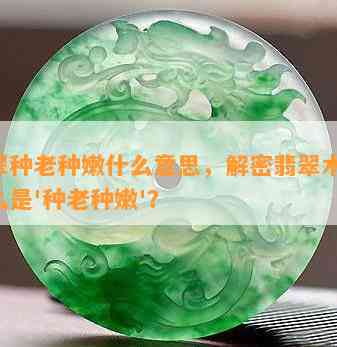 翡翠种老种嫩什么意思，解密翡翠术语：什么是'种老种嫩'？