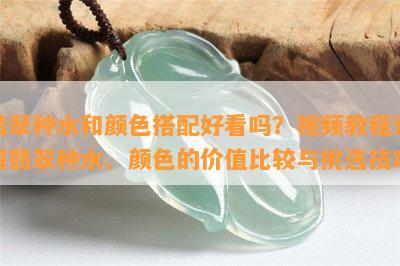 翡翠种水和颜色搭配好看吗？视频教程详解翡翠种水、颜色的价值比较与挑选技巧